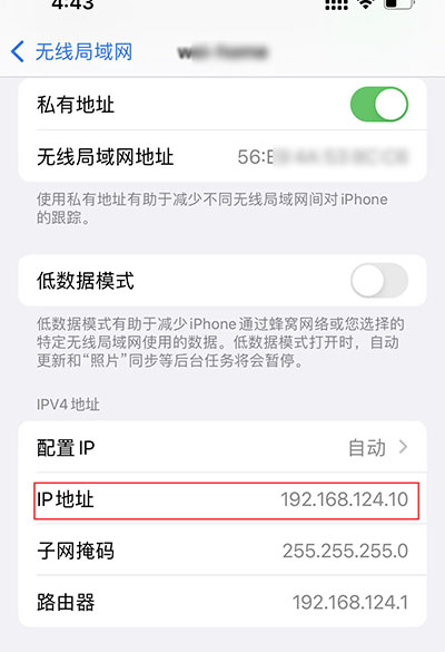 在iPhone上查找IP地址